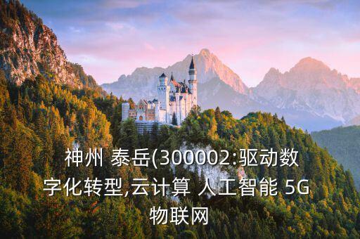  神州 泰岳(300002:驅動數(shù)字化轉型,云計算 人工智能 5G 物聯(lián)網