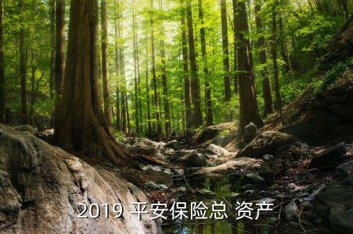 2019 平安保險總 資產(chǎn)