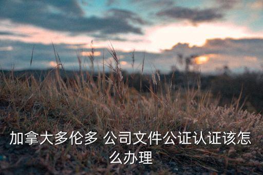 公司董事名冊,公司名冊是什么意思