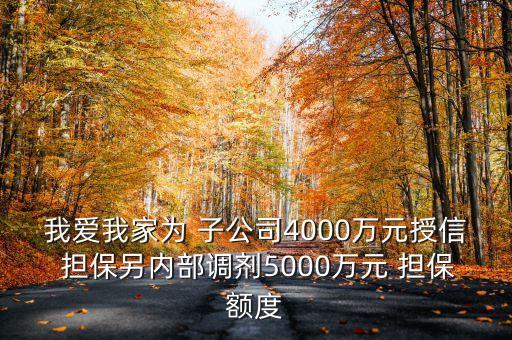 我愛我家為 子公司4000萬元授信 擔保另內(nèi)部調(diào)劑5000萬元 擔保額度