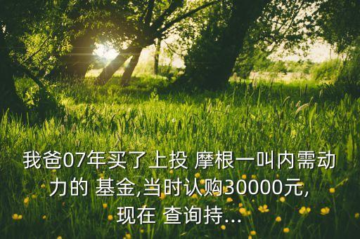 我爸07年買了上投 摩根一叫內(nèi)需動力的 基金,當(dāng)時認(rèn)購30000元,現(xiàn)在 查詢持...