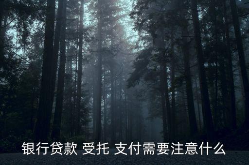 銀行貸款 受托 支付需要注意什么