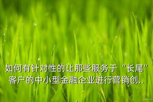 如何有針對性的讓那些服務(wù)于“長尾”客戶的中小型金融企業(yè)進行營銷創(chuàng)...