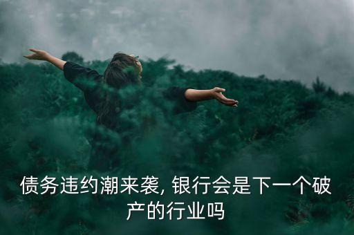 債務(wù)違約潮來襲, 銀行會是下一個破產(chǎn)的行業(yè)嗎