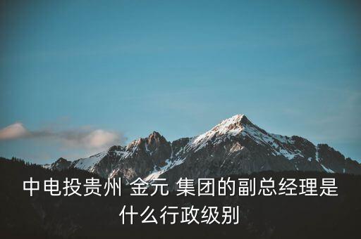 中電投貴州 金元 集團(tuán)的副總經(jīng)理是什么行政級(jí)別