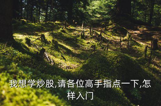 我想學(xué)炒股,請(qǐng)各位高手指點(diǎn)一下,怎樣入門(mén)