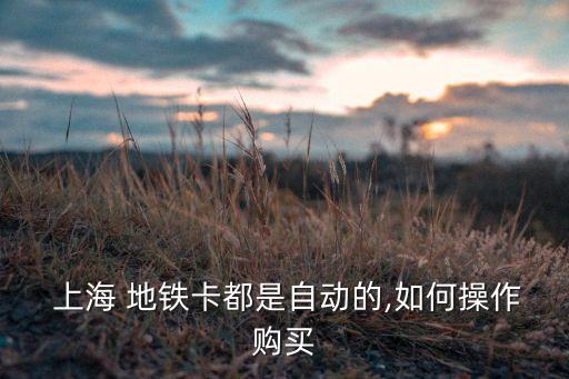  上海 地鐵卡都是自動(dòng)的,如何操作購(gòu)買