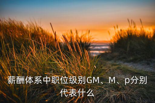 薪酬體系中職位級別GM、M、p分別代表什么