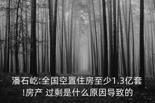 潘石屹:全國(guó)空置住房至少1.3億套!房產(chǎn) 過(guò)剩是什么原因?qū)е碌? class=